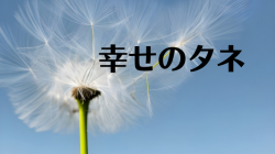 幸せのタネ
