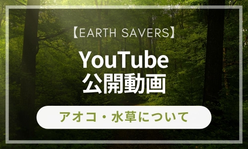 【YouTube公開動画】アオコ・水草について