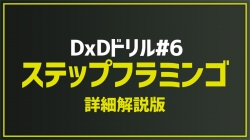 2025.6.1今月のドリル｢#6_ステップフラミンゴ(詳細解説版)｣