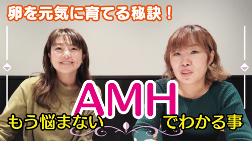 【AMHでわかること】妊活Q&A#1