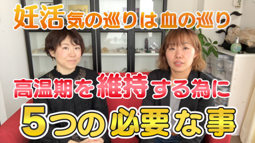 【高温期を14日間維持するために】妊娠力の高め方#6