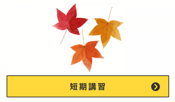 短期講習