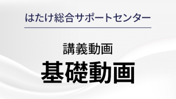 講義動画【基礎編】